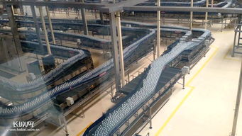 日產飲料8萬瓶 年產方便面120億包 帶你看看世界規(guī)模最大食品廠 速度最快的流水線 衣服